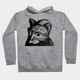 Racoon Hoodie